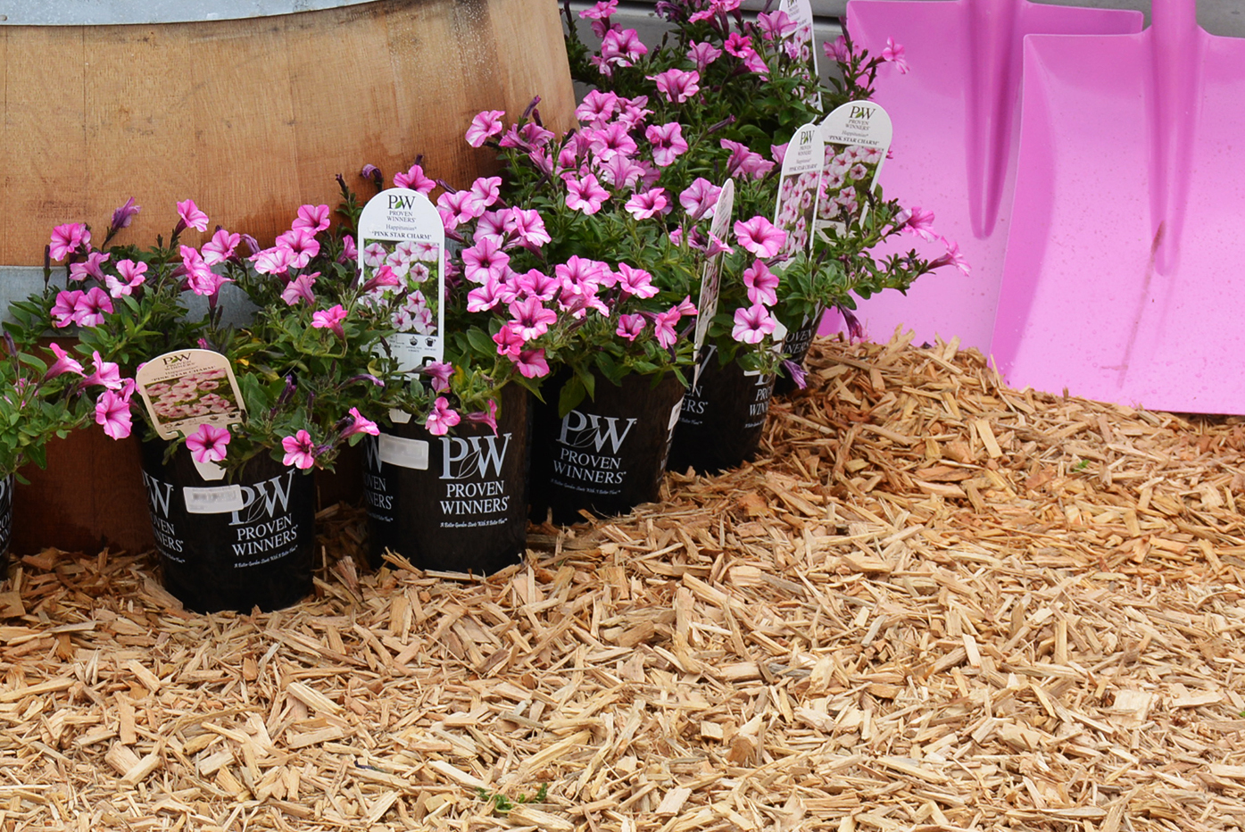 Soft Play around plants